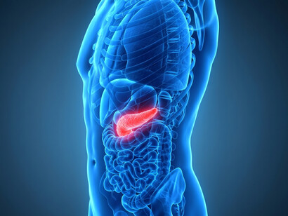Side-view anatomical illustration showing the pancreas deep within the abdominal cavity