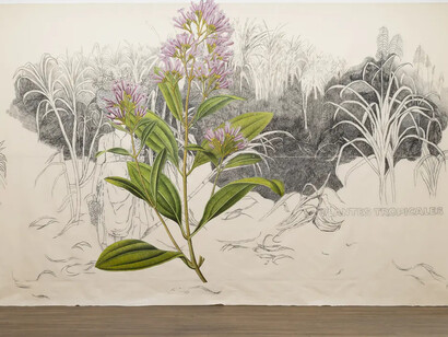 Ishita Chakraborty, East is everywhere, vue de l'exposition. Avec l'aimable autorisation de la Galerie Peter Kilchmann