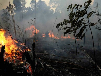 Amazzonia in fiamme