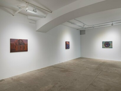 Alessandro Fogo, Distopica, exhibition view. Courtesy of Lyles & King Gallery