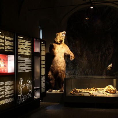 From a bone needle to Celje stars. Courtesy of Pokrajinski muzej Celje