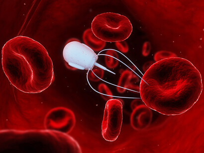Nanobots are able to deliver substances where they are needed