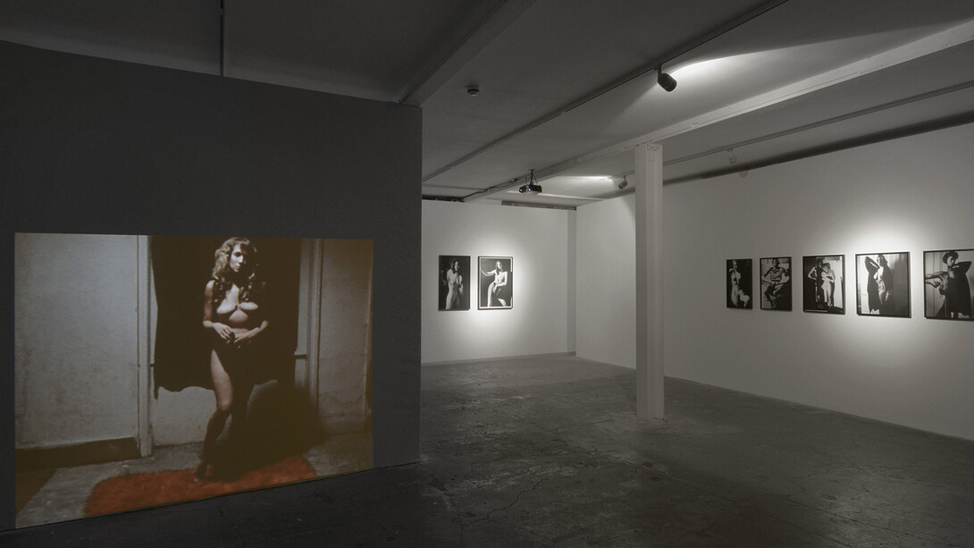 Stephen Dwoskin, 2015, Vilma Gold, London, installation view