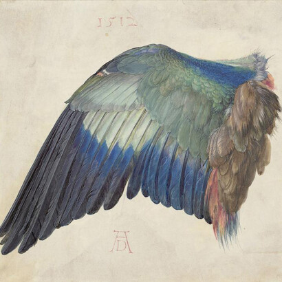 Albrecht Dürer. Courtesy of Albertina Museum