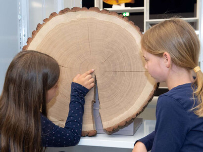 Aha! Science lab, exhibition view. Courtesy of Senckenberg Naturmuseum