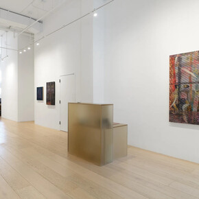 Ranu Mukherjee, The long middle, exhibition view. Courtesy of Gallery Wendi Norris