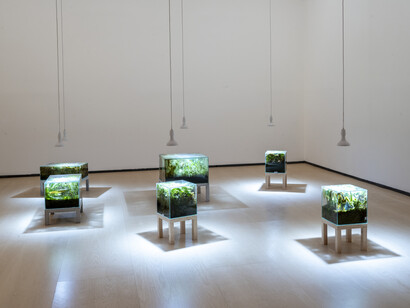 Arts of the Earth, exhibition view. Courtesy of Guggenheim Museum Bilbao