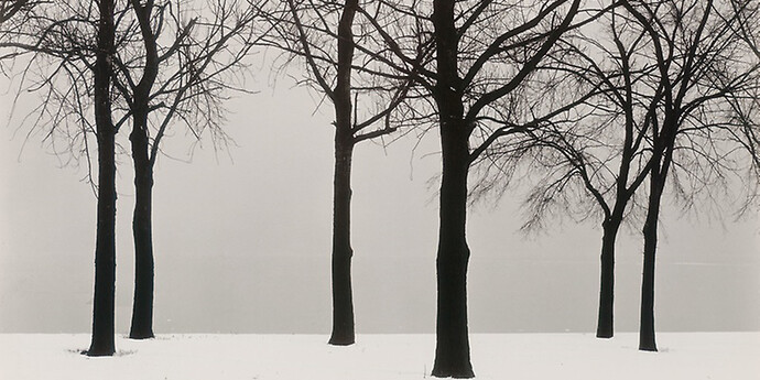 Harry Callahan, American, 1912–1999, Chicago, 1950