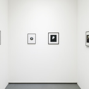 Various artists, Phantom, still, exhibition view. Courtesy of Kristina Kite Gallery