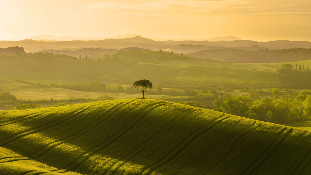 Il paesaggio è un quadro unitario di cose parte di una totalità dalle trame molteplici
