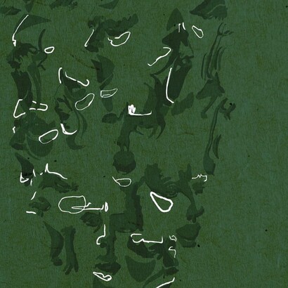 Pur provenendo da una solida formazione accademica, i Treetops integrano VST digitali, elettronica e autotune come naturale estensione della loro identità strumentale