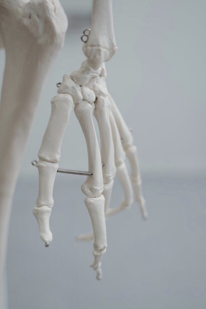 Dettaglio dello Scheletro sulla mano
