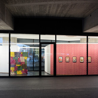 Ashfika Rahman, The typology of wounds, the mapping of healing, 2021. Installation view. VITRINE, Basel. Photographer: Marcel Scheible