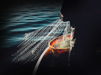 Hombre en un bote sujeta una red de pescar en Macuro, estado Sucre, Venezuela. El tener hielo o neveras a bordo de las embarcaciones sería ideal, más aún que al llegar al propio Macuro 