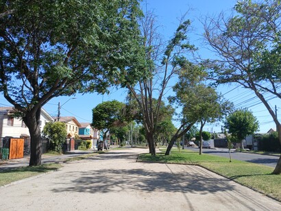 Sola Ángela Sierra Henríquez (Santiago de Chile, 1 de diciembre de 1935 — 1 de julio de 1999) fue una activista por los derechos humanos chilena. Se desempeñó como presidenta de la Agrupación de Familiares de Detenidos Desaparecidos (AFDD) entre 1977 y 1999. Parque Sola Sierra Henríquez, Maipú, Santiago, Chile