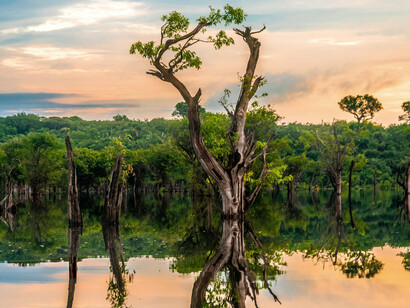 Atardecer en el Amazonas, Brasil
