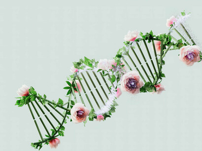 Les relations basées sur les récompenses et les punitions construisent des échelles de valeurs fondées sur la soumission et la frustration, créant des individus prodigues et des individus mesquins, dépourvus de véritable autonomie et d'appartenance