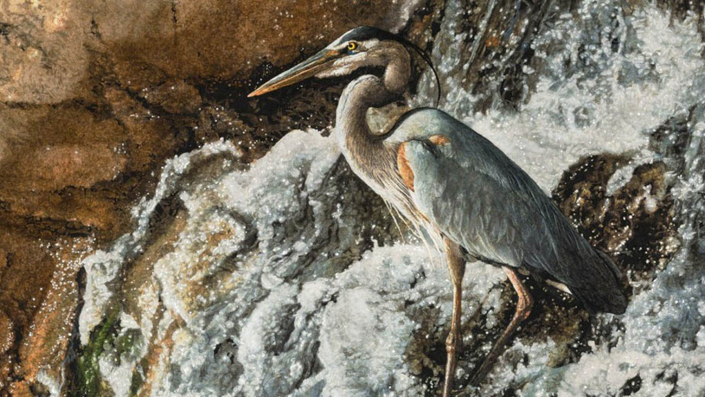 Birds of a Feather. Courtesy of Trailside Galleries