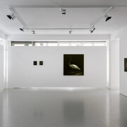 Markus Åkesson, Passage, exhibition view. Courtesy of Berg Gallery