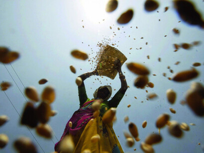 Cibo per tutti
