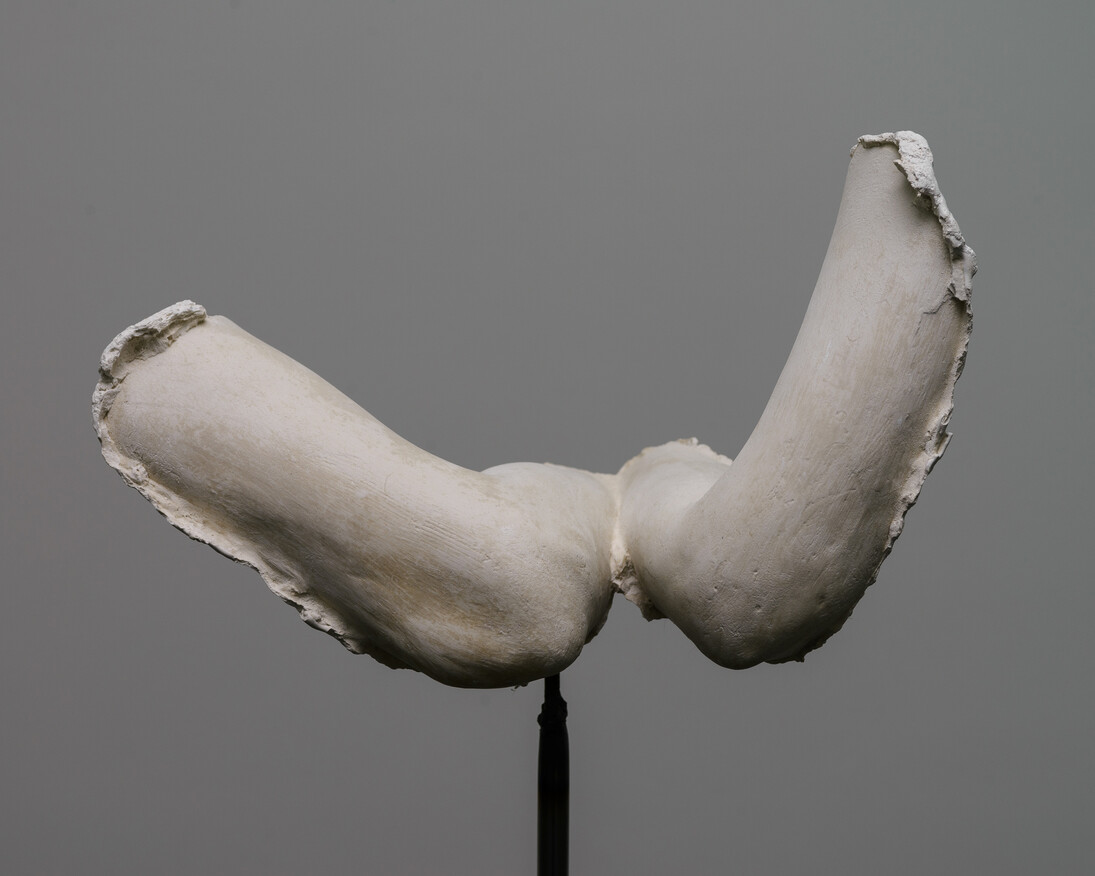 Anna Zvyagintseva. Courtesy of PinchukArtCentre