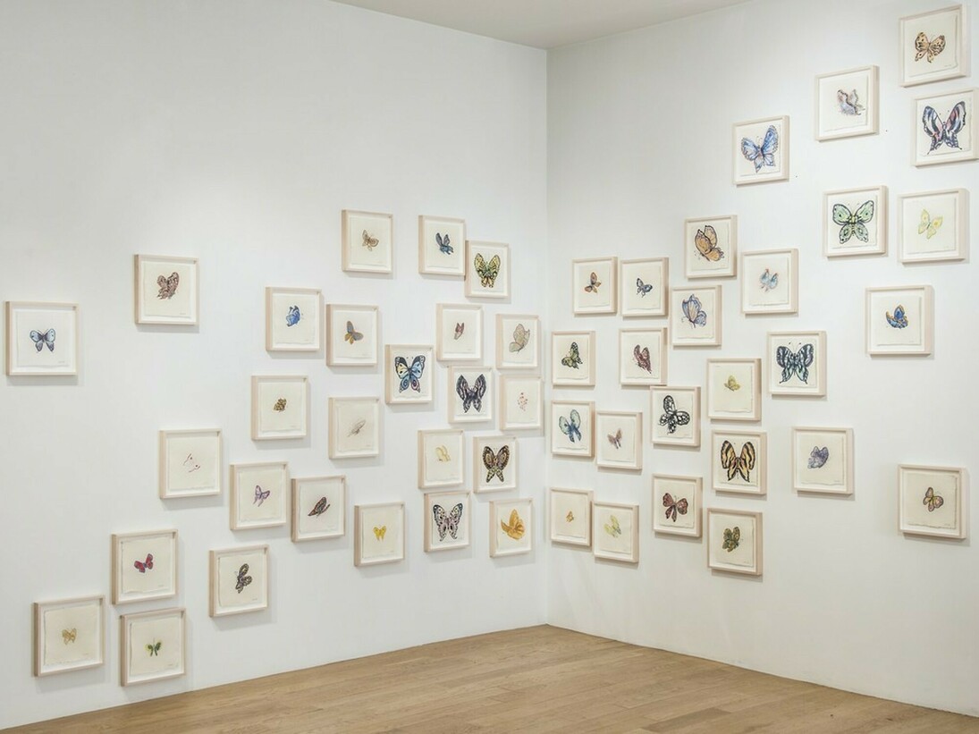 Shelly Malkin, Exhibition view. Courtesy of Taylor | Graham