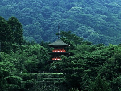 Japón