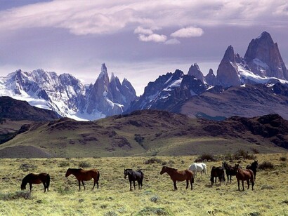 Caballos en la Patagonia argentina