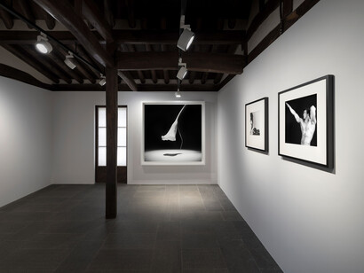 Robert Mapplethorpe, The poetics of form, exhibition view. Courtesy of Kukje Gallery