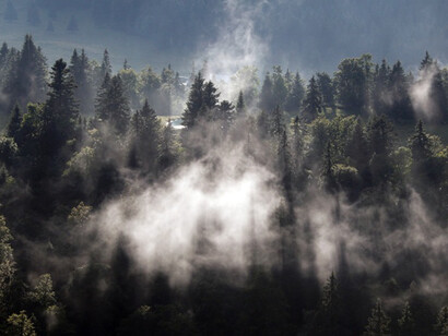 Una coltre di nebbia
