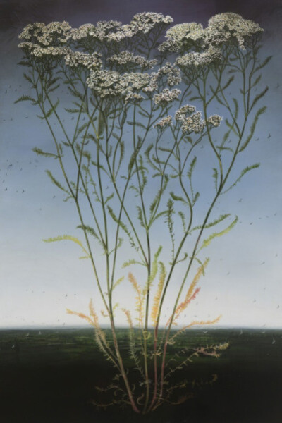 Michael Canning. Courtesy of Waterhouse & Dodd