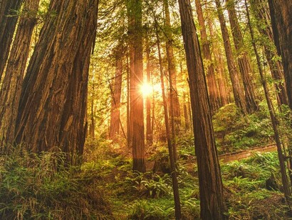 Procedendo senza meta troveremo sempre una linea, delle tracce, dei punti di riferimento, qualche dettaglio che attira la nostra attenzione e guida i nostri passi