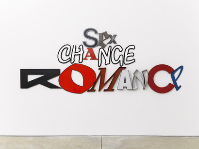 Jack Pierson, Sex Change Romance, 2014, Metal, plastic and wood, 137.2 x 340.4 cm / (54 x 134 in), Photo courtesy Cheim & Read, New York, © the artist