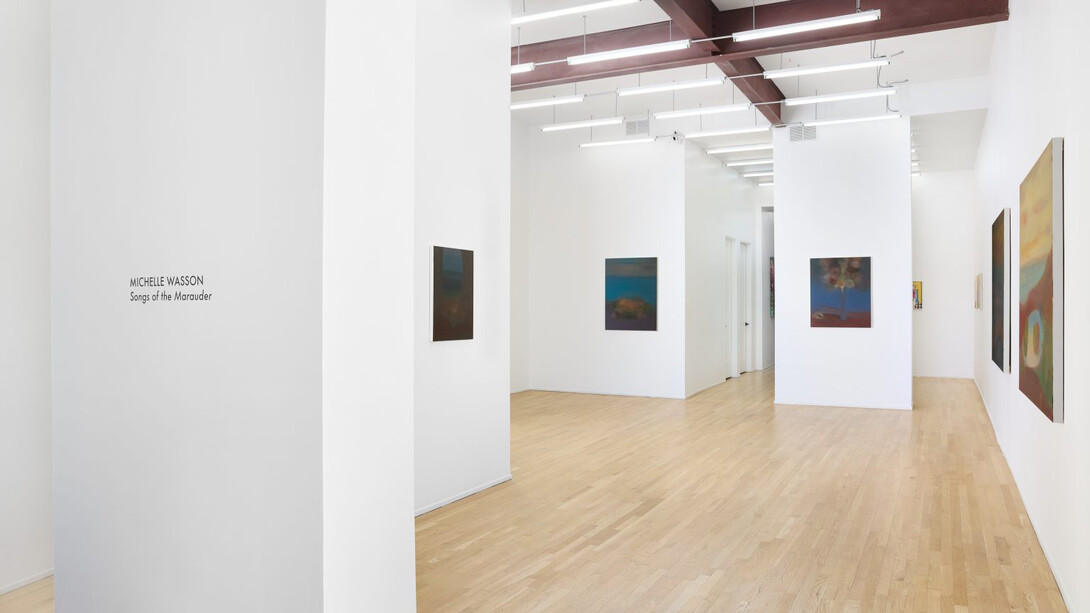 Michelle Wasson, Songs of the Marauder, exhibition view. Courtesy of Andrew Rafacz 