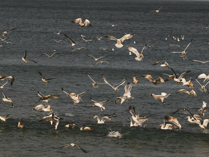 Tudo é estruturado enquanto vivência presente, entretanto se está sempre construindo e ocupado com situações passadas e preocupações futuras