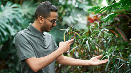 Rapaz tira fotos de plantas com o seu celular