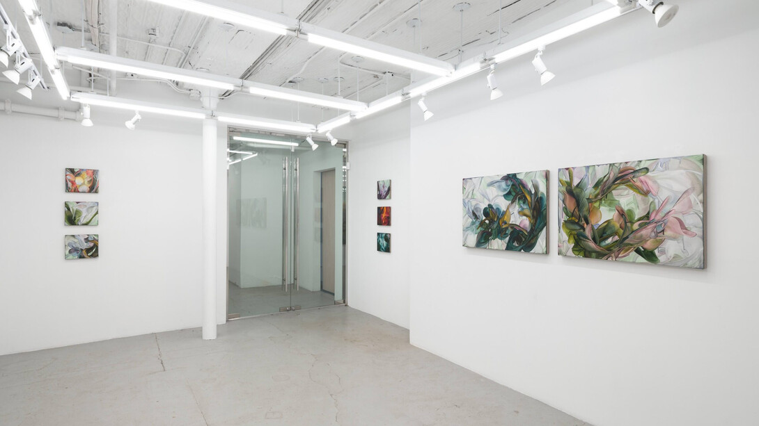 Michele Fletcher, Fooling linnaeus, exhibition view. Courtesy of Nicelle Beauchene Gallery