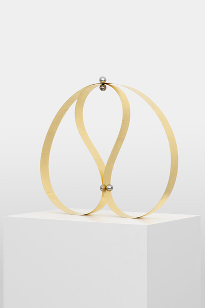 Untitled
2020, spring metal, 55 × 75 x 6 cm (21 5
⁄8 × 29 1
⁄2 x 2 1
⁄2 in.)
Courtesy the Artist and Xavier Hufkens, Brussels