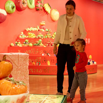Mechelle Bounpraseuth, ສູ້ສູ້ sou sou, exhibition view. Courtesy of Art Gallery of NSW