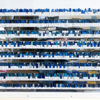 Reflection. Courtesy of Dillon + Lee