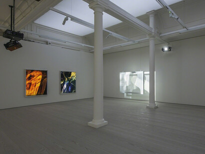 Matt Saunders. Courtesy of Marian Goodman Gallery