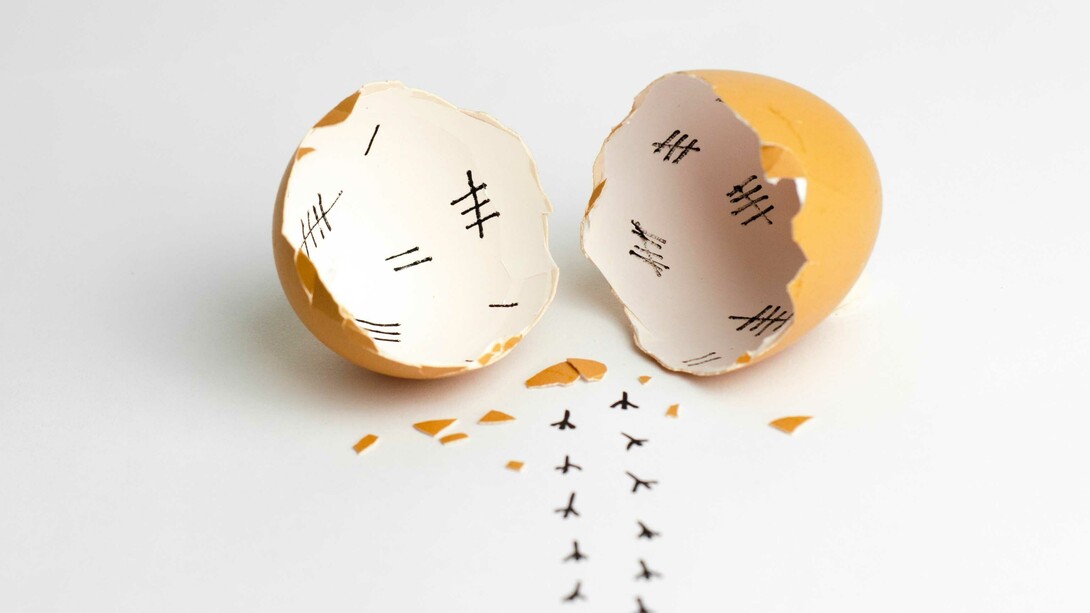 Pasqua: la vita che rinasce