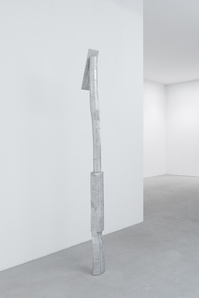 Lou Jaworski and Thèo Viardin, Unveiling the unknown. Courtesy of the artist and Tempesta Gallery