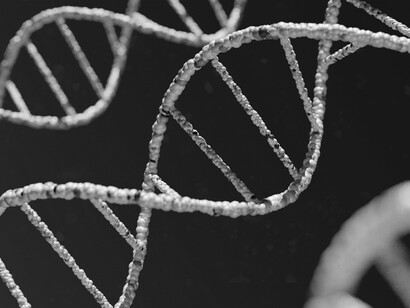 Mutations arise when DNA copies itself, tiny changes that can transform life over time