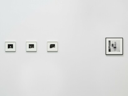 Joanne Leonard and Brittany Nelson's exhibition, exhibition view. Courtesy of Luhring Augustine, New York
