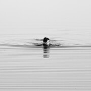 Brian Pearson, Cambodian Fisherman, 2014, Archival pigment print