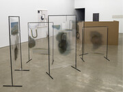 Fia Backström, An-alpha/pet-isms... 2014, Ink-jet print on vinyl film, steel, and industrial screws, In 5 parts: 60 x 36 inches; 54 x 36 inches; 48 x 36 inches, Courtesy of the artist and Lisa Cooley, Photography by Cary Whittier 
