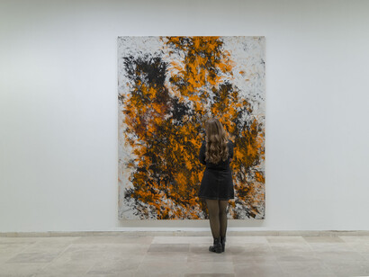Carlos León, Suite Dánae, exhibition view. Courtesy of Museo Patio Herreriano
