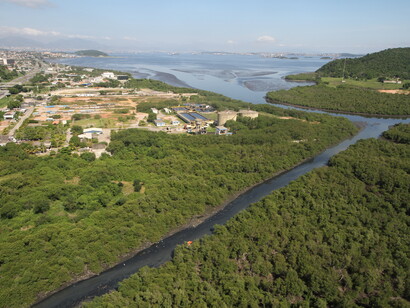 Projetos de recuperação sem alcançar os objetivos colaboram na degradação da biodiversidade dos manguezais. Município de São Gonçalo, região metropolitana do Rio de Janeiro, abril de 2017
 