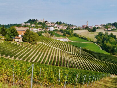 Paesaggio delle Langhe a Monforte d'Alba, Piemonte, Italia